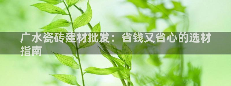 杏鑫平台广7O777
