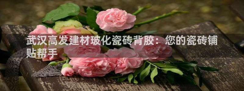 杏鑫娱乐官方网站客户端