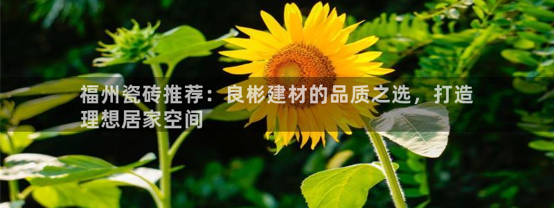 杏鑫平台登录地址在哪