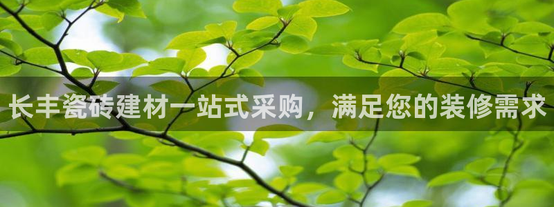 杏鑫娱乐官网首页