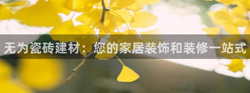 杏鑫平台登录注册