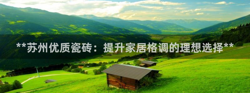 杏鑫3主管