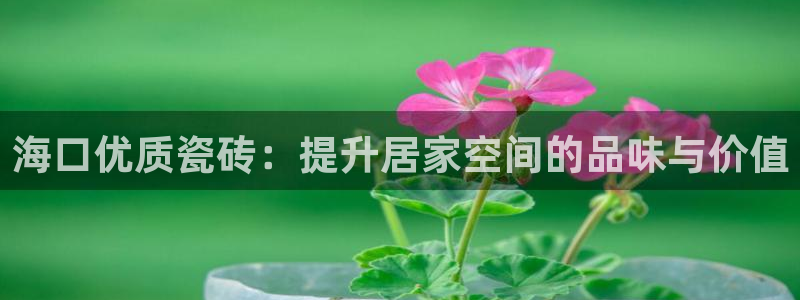 杏鑫官网最新信息新闻