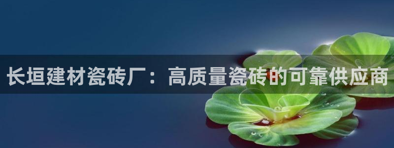 杏鑫平台注册地址在哪里