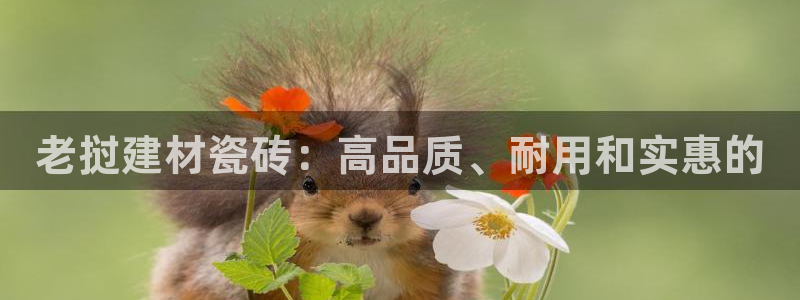 杏鑫官网注册账号密码是什么