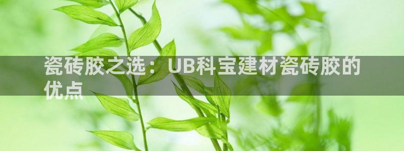 杏鑫娱乐平台测速怎么样