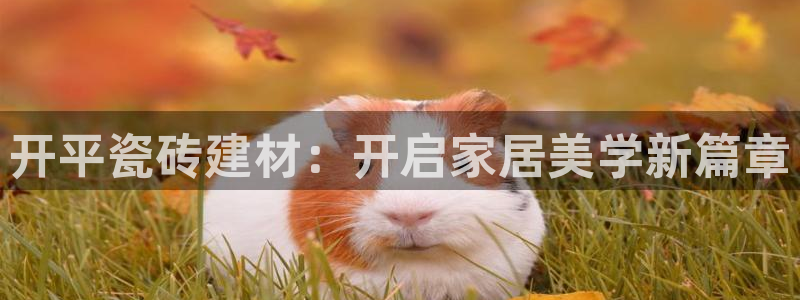 杏鑫注册平台官方网站