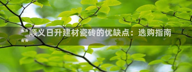 杏鑫官方平台怎么样啊可靠吗