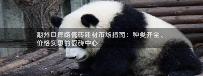 杏鑫平台代理注册多少钱