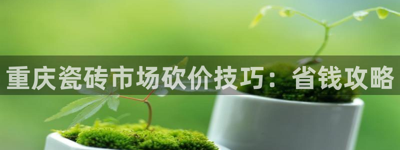 杏鑫平台登录地址在哪