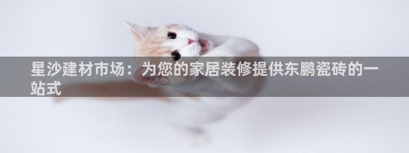 杏鑫平台招商怎么样可靠吗