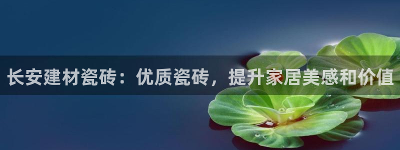 杏鑫平台登陆