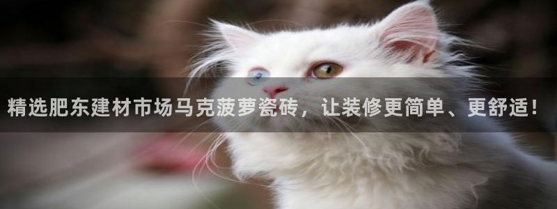 杏鑫平台代理注册多少钱啊