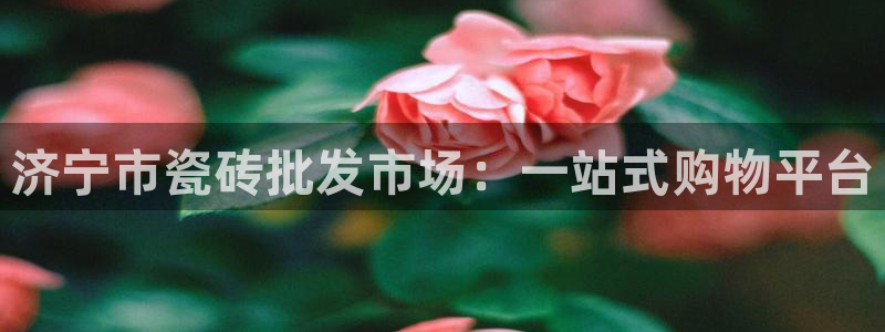 杏鑫官网最新信息新闻报道