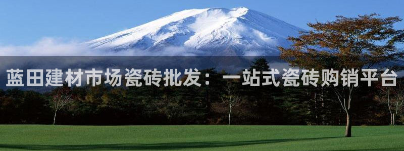 杏鑫官方app代理