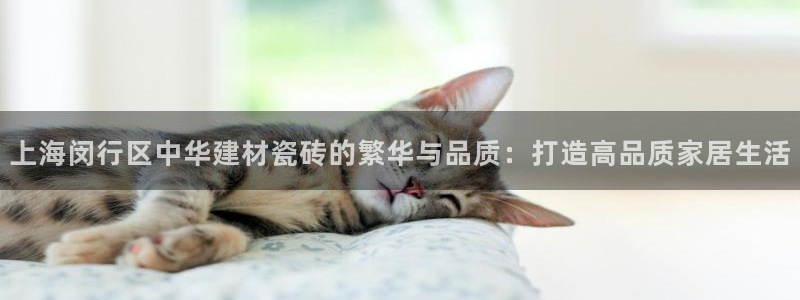 杏鑫平台怎么样黑钱吗是真的吗还是假的