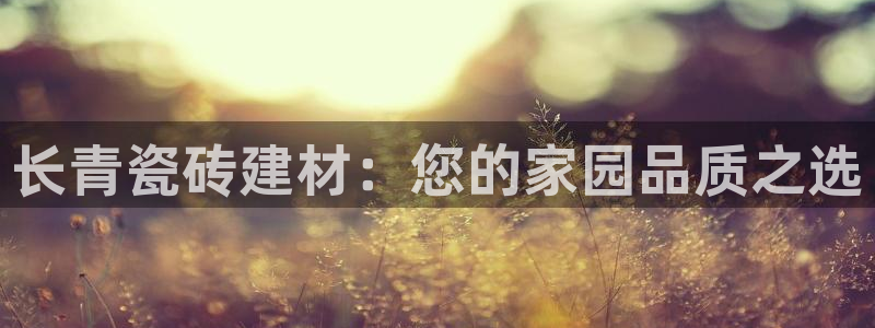 杏鑫平台注册登录