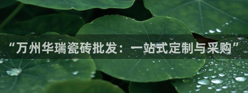 杏鑫平台登录地址查询