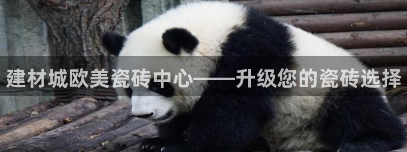 杏鑫平台平台娱乐