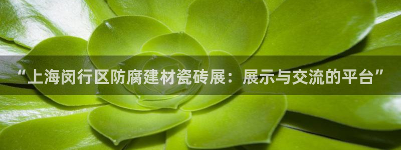 杏鑫官方平台怎么样可靠吗