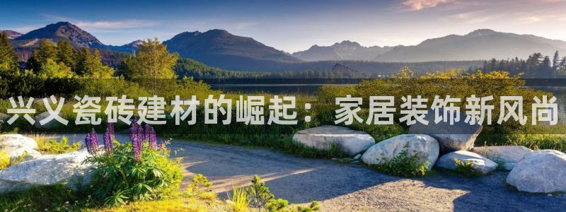 杏鑫官方平台怎么样