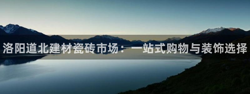 杏鑫代理注册资金多少