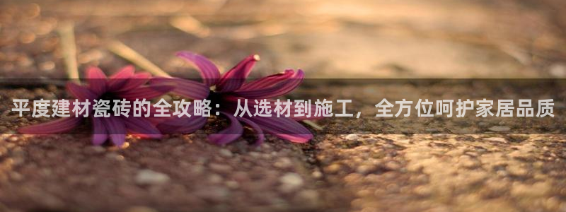 杏鑫官网注册账号密码