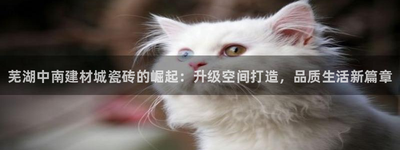 杏鑫注册登录网址是多少