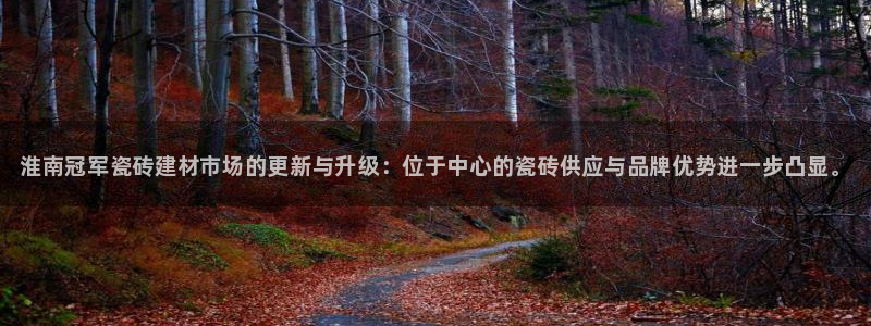 杏鑫平台招商电话号码是多少