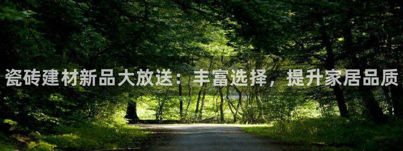 杏鑫有亏损返点吗