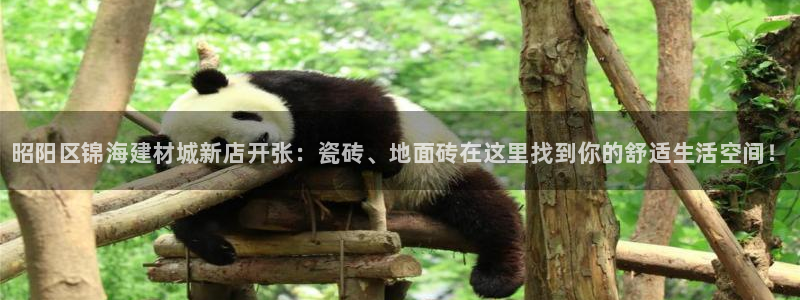 杏鑫代理注册资金多少