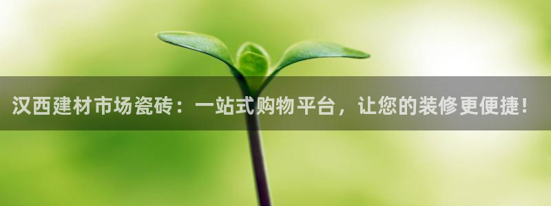 杏鑫平台线路测速