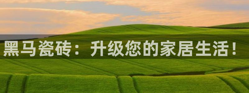 杏鑫平台招商电话是多少