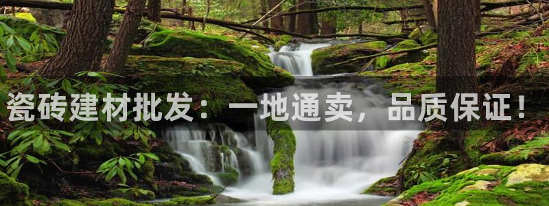 杏鑫官网注册账号是什么样的