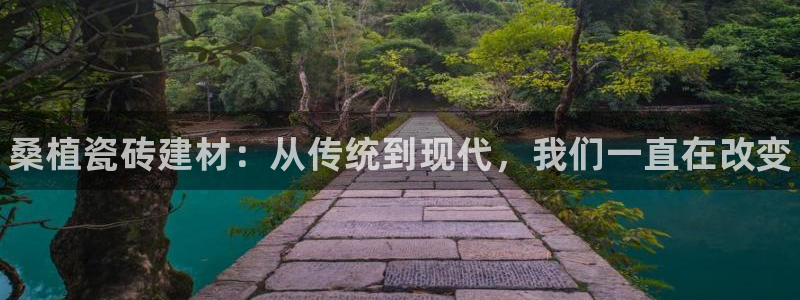 杏鑫平台代理注册流程图